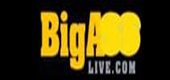 BigAssLive